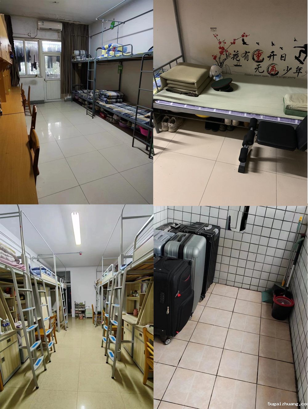 1679885002684522.jpg 图片2.jpg